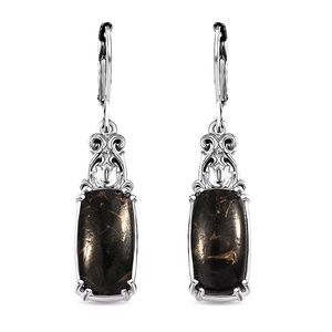 🗽Matrix Silver Shungite 5.20 ctw Earrings in Platinum Over Copper with Magnet